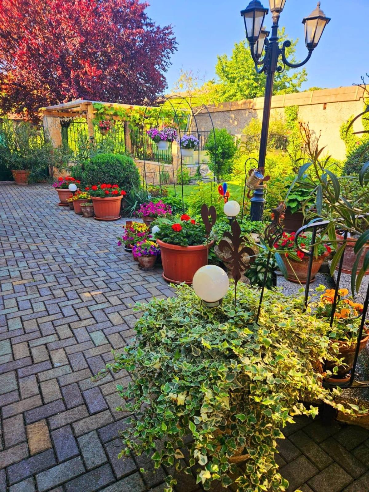 Ferienwohnung Koppi Pamhagen Exterior foto