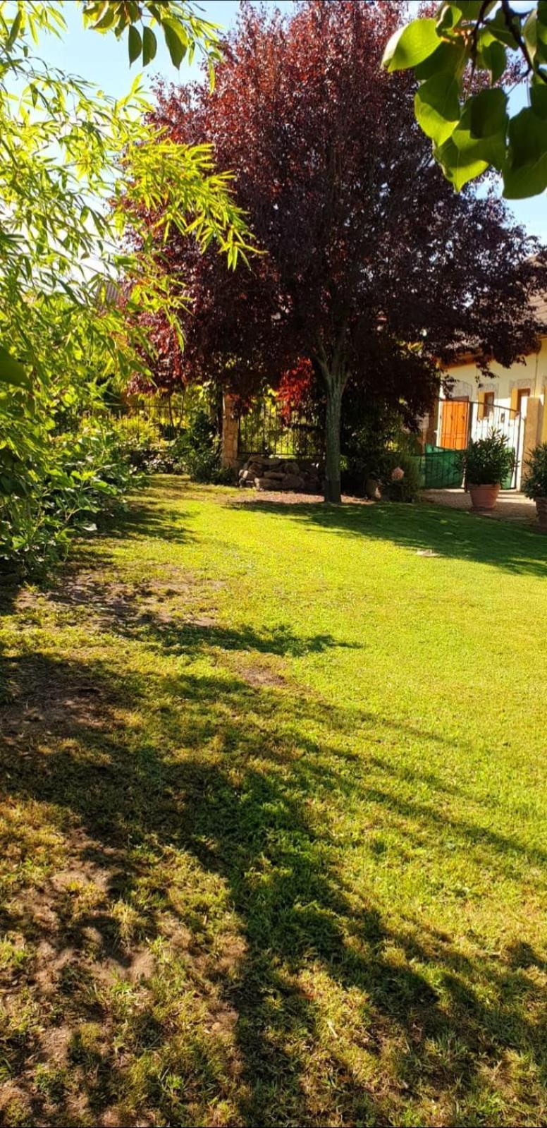 Ferienwohnung Koppi Pamhagen Exterior foto