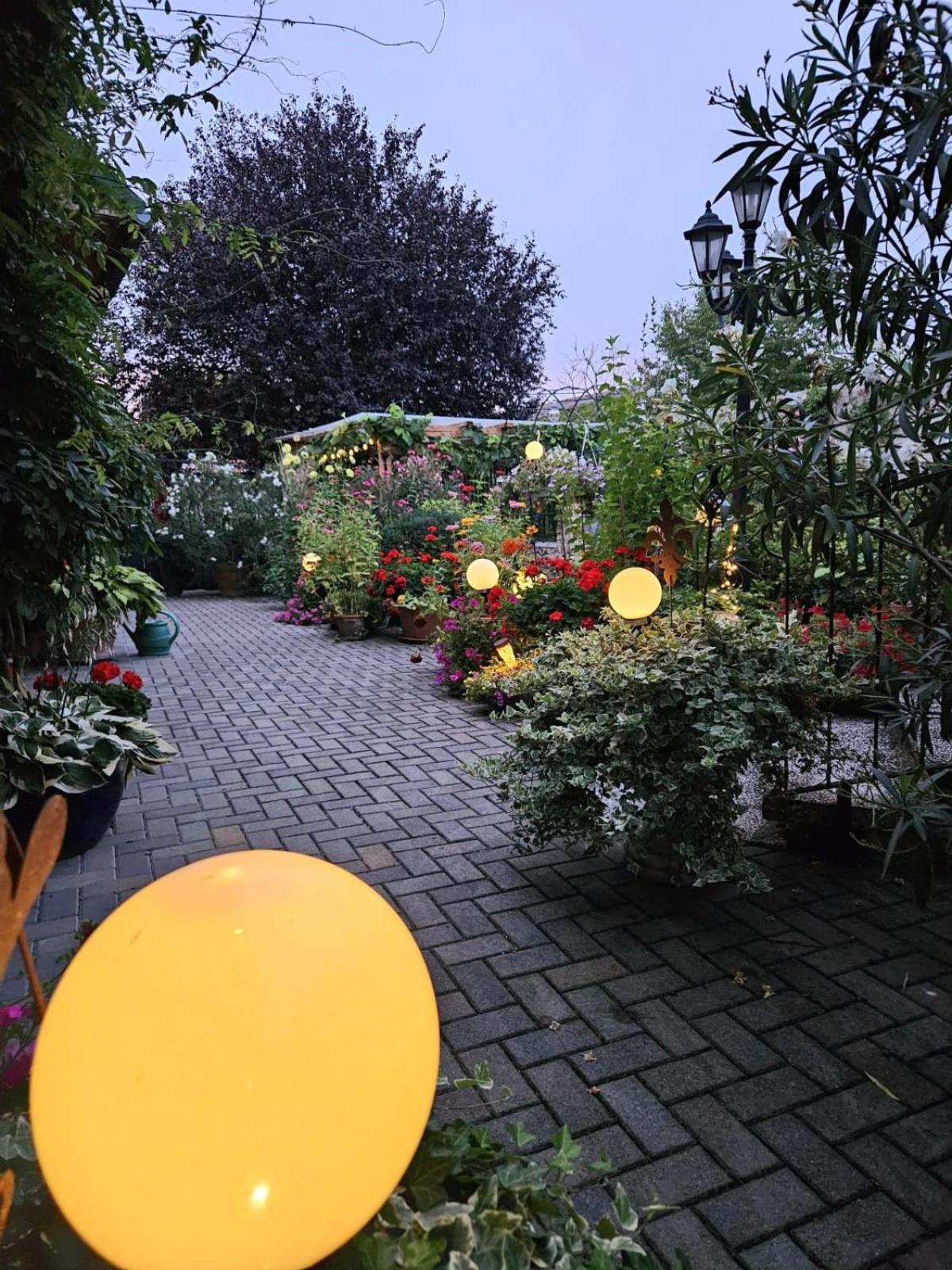 Ferienwohnung Koppi Pamhagen Exterior foto